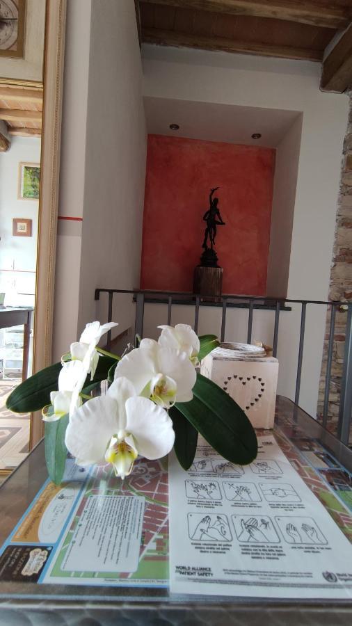 卢卡Le Rondini Di San Donato住宿加早餐旅馆 外观 照片